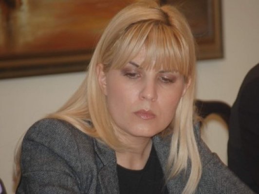 Elena Udrea: Am greşit pentru că am lăsat ,,cochetăria